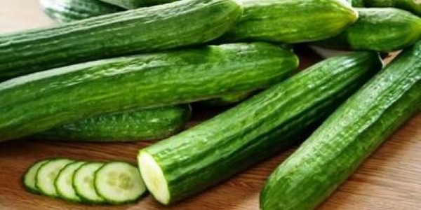 تصویر 2 از خرید و قیمت خیار سبز گلخانه ای + فروش صادراتی